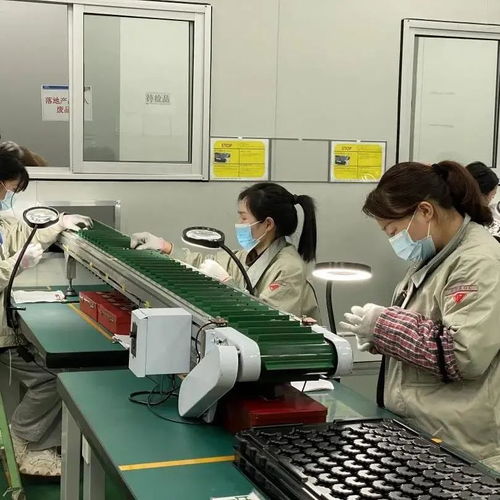 突破10億美元 東陽這家企業自營進出口總額創新高