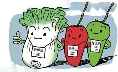 進出口食品添加劑海關(guān)監(jiān)管指南