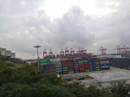 上海港危險(xiǎn)品貨代危險(xiǎn)品國際物流流程